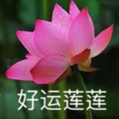 九阴真经3d九游版下载